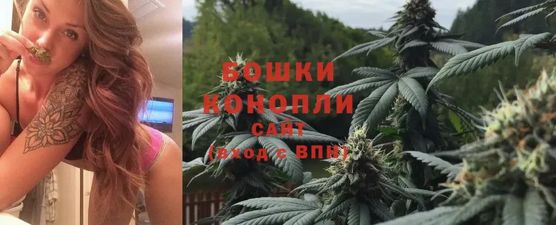 Бошки марихуана Ganja  МЕГА маркетплейс  Жиздра 